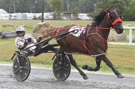 harness racing nz results